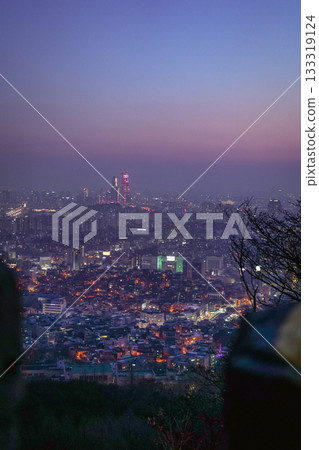 Seoul City Skyline Night View from Namsan Tower at Purple Twilight Seoul City Skyline Night View from Namsan Tower at Purple Twilight 133319124