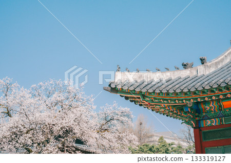 Eaves and Delicate Dancheong Patterns of Deoksugung Palace's Traditional Architecture, Seoul Eaves and Delicate Dancheong Patterns of Deoksugung Palace's Traditional Architecture, Seoul 133319127