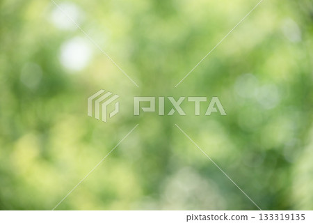 Defocused natural background blurred tree. Natural defocus light. 133319135