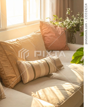 Sofa and cushions in the living room bathed in morning sunlight 133319214
