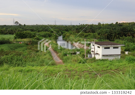 a wooden boat in a field a wooden boat in a field 133319242