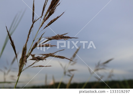 the road with a wind turbine the road with a wind turbine 133319297