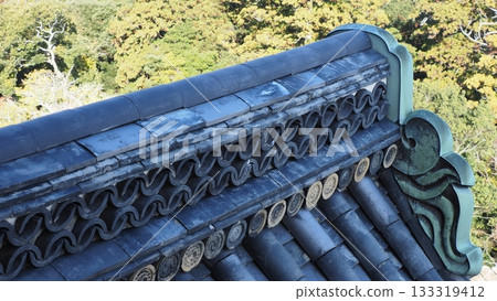 National Treasure Matsue Castle Roof Tiles 133319412