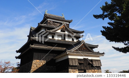 National Treasure Matsue Castle 133319446