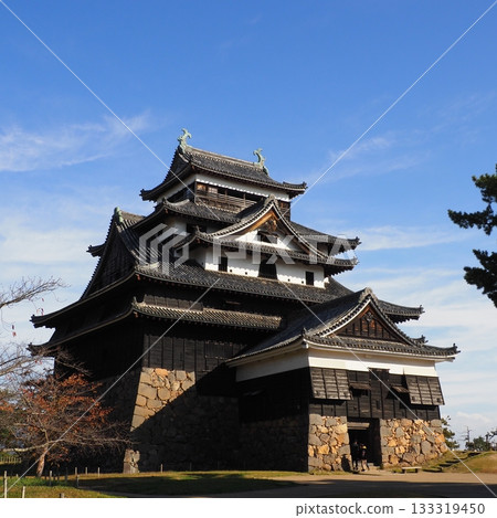 國寶松江城堡 133319450