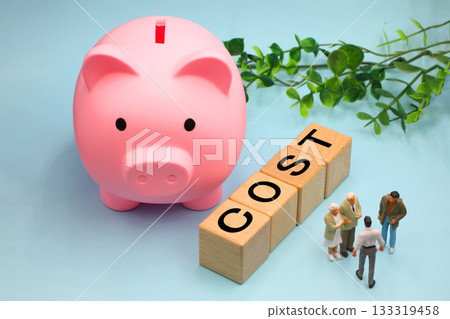 Image of COST 133319458