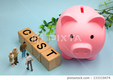Image of COST 133319474