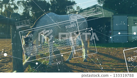 Standing light gray horse showing digital HUD panels in dirt paddock beside wooden fence Standing light gray horse showing digital HUD panels in dirt paddock beside wooden fence 133319788