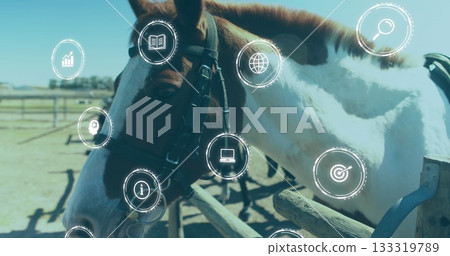 Standing brown and white horse wearing leather bridle by rail fence in paddock, with digital icons 133319789