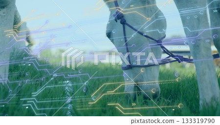 Grazing white goat bending down in tall green grass, with purple rope halter, circuit overlay Grazing white goat bending down in tall green grass, with purple rope halter, circuit overlay 133319790