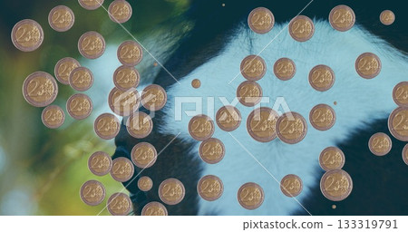 Peeking giant panda head through scattered two-cent euro coins at forest enclosure, sunlit foliage 133319791