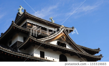 National Treasure Matsue Castle 133319883