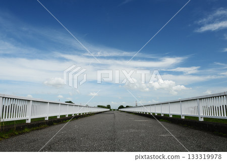 從橋中央看到的藍天 133319978