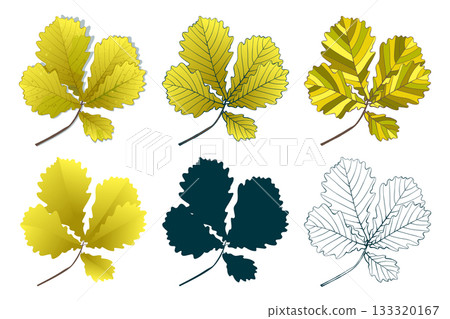 Set of hand-drawn gold green colored oak autumn leaves branch isolated on white background. Flat and line styles vector illustration. Set of hand-drawn gold green colored oak autumn leaves branch isolated on white background. Flat and line styles vector illustration. 133320167