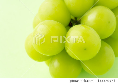 近距離拍攝看起來非常美味的 Shine Muscat 葡萄 133320571