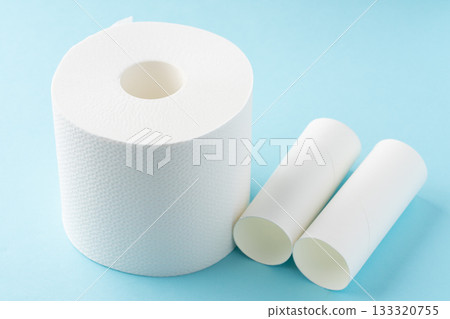 淺藍色背景上的衛生紙捲筒和紙芯 133320755
