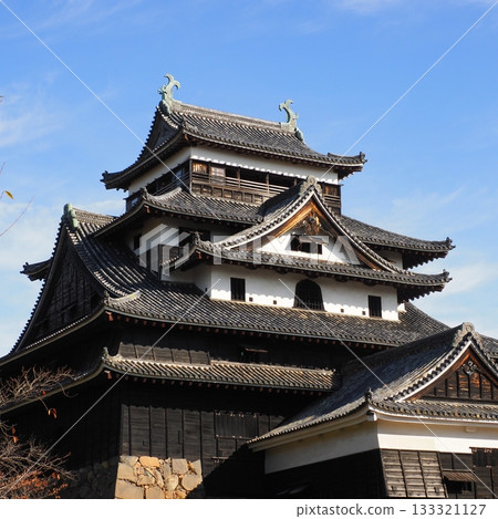 National Treasure Matsue Castle National Treasure Matsue Castle 133321127