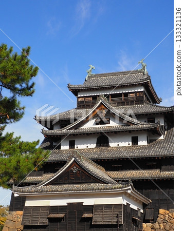 國寶松江城堡 133321136