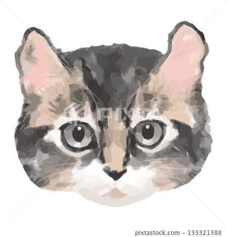 美國卷耳貓 – 來自世界各地的貓咪特寫插圖 – 真實觸感向量圖 133321388