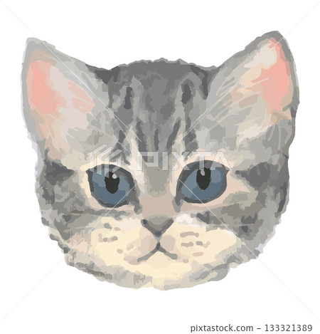 美國短毛貓 – 來自世界各地的貓咪特寫插圖 – 逼真的觸控向量圖 133321389