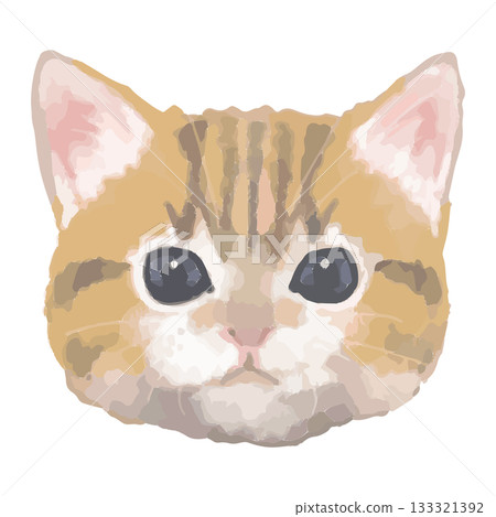 Munchkin – Close-up illustrations of cats from around the world – Real Touch Vector 133321392