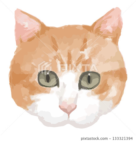 日本貓 – 世界各地貓咪的特寫插圖 – 逼真的向量圖 133321394