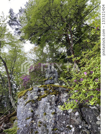 日光中禪寺湖 - 大日崎的大日如來雕像 日光中禪寺湖 - 大日崎的大日如來雕像 133321404