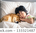 A young girl sleeping with her beloved Shiba Inu 133321487