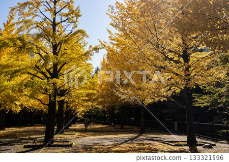 在東京尋覓秋天 133321596