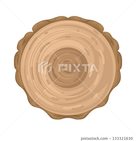 Illustration of tree ring 133321630