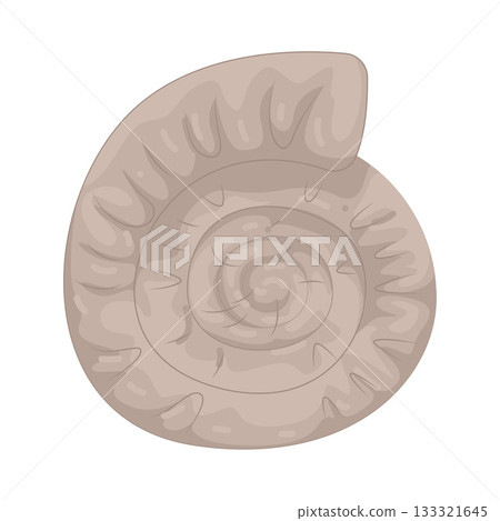 Illustration of ammonite fossil  133321645