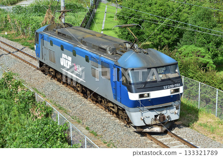 東海道本線、東高島櫻木町、JR 貨運、EF210-164（新鶴見） 133321789