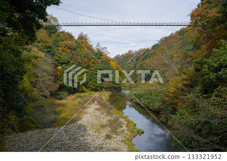 Demon's Tongue Shake Love Suspension Bridge 133321952