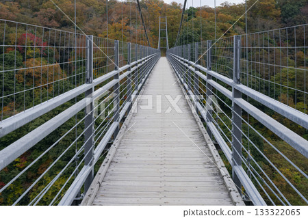 Demon's Tongue Shake Love Suspension Bridge 133322065