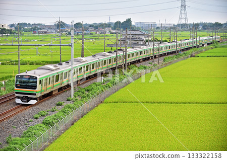 Tohoku Main Line, Higashiwashimiya-Kurihashi, JR East, E231 series 1000 series, S-14 train (Kozu) Tohoku Main Line, Higashiwashimiya-Kurihashi, JR East, E231 series 1000 series, S-14 train (Kozu) 133322158