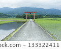 A red torii gate surrounded by rice fields 133322411