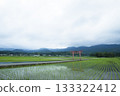 A landscape with rice fields and a red torii gate 133322412