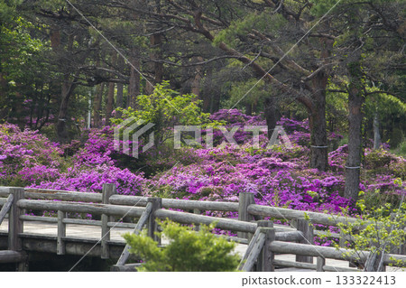 Deep mountains 133322413