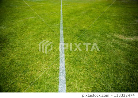 High angle view of yard line 133322474