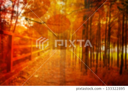 Double exposure of trees and fence Double exposure of trees and fence 133322895