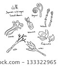 春季野生蔬菜插圖集 - 黑線描圖 133322965