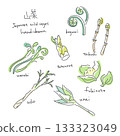 春季野生蔬菜插畫集：簡潔時尚的線條畫 133323049