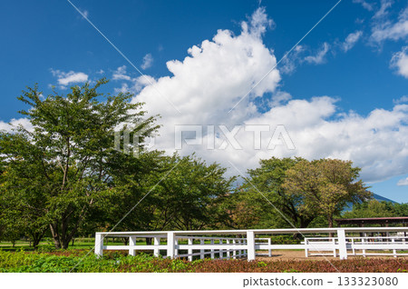Koiwa Farm scenery: blue sky and clouds Koiwa Farm scenery: blue sky and clouds 133323080