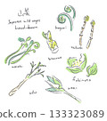 春季野生蔬菜插畫集：手繪水彩風格溫暖插畫 133323089