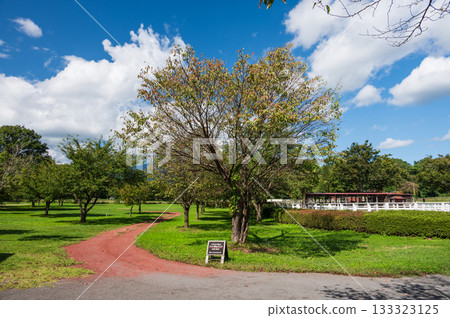 小岩井農場步道 小岩井農場步道 133323125