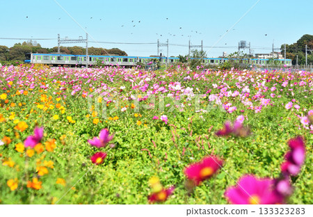 鐵路:東武野田線 60000 系列 鐵路:東武野田線 60000 系列 133323283
