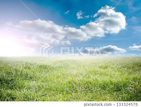 Digitally generated sunny landscape Digitally generated sunny landscape 133324578