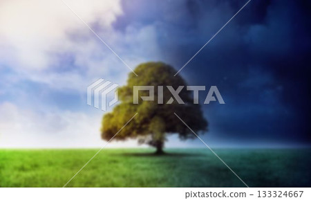 Digitally generated image of grassy field Digitally generated image of grassy field 133324667