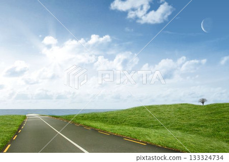 Road leading out to the horizon 133324734