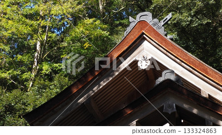 出雲神社 蘇賀社 出雲神社 蘇賀社 133324863